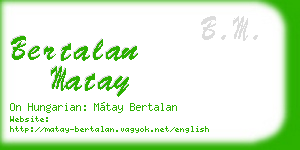 bertalan matay business card